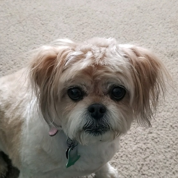 Meet your Posher, T - Picture 1 of 1